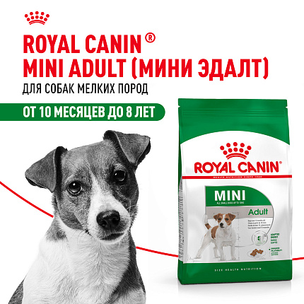 Cухой корм Royal Canin Mini Adult (МИНИ ЭДАЛТ) 8 кг